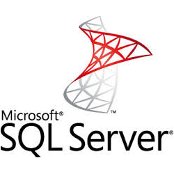 Detroit MI  MS SQL Server Database Developer